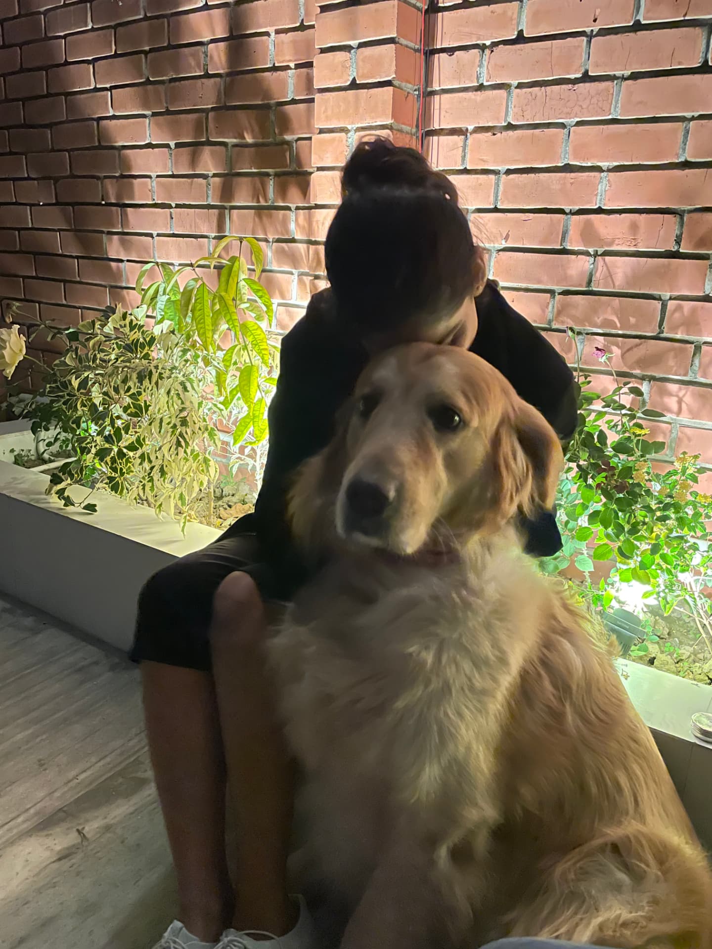Akanksha hugging a golden retriever in front of a brick wall
