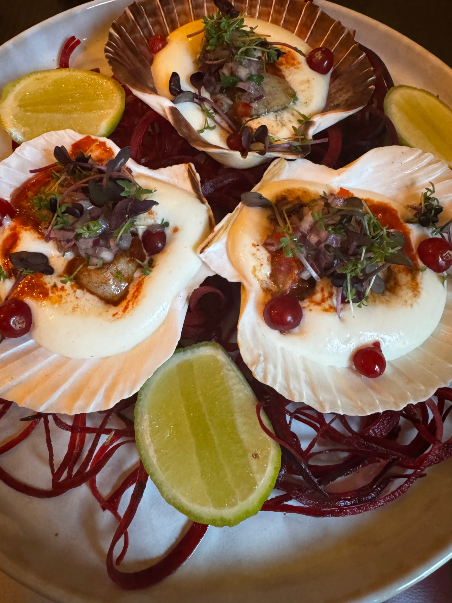Baked scallops served in their shells with microgreens, lime and beetroot